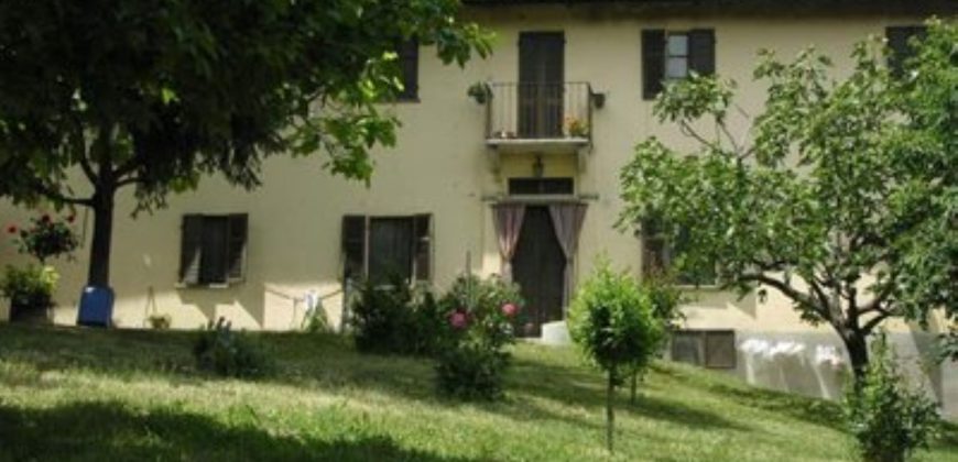 Azienda Vinicola Azienda Vinicola