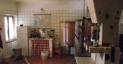 Azienda Vinicola Azienda Vinicola