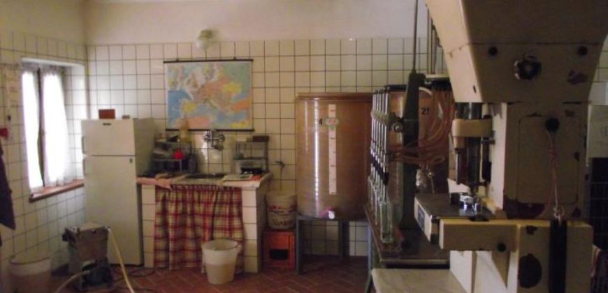 Azienda Vinicola Azienda Vinicola