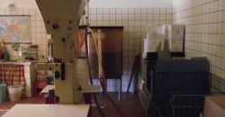 Azienda Vinicola Azienda Vinicola