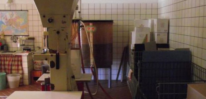 Azienda Vinicola Azienda Vinicola