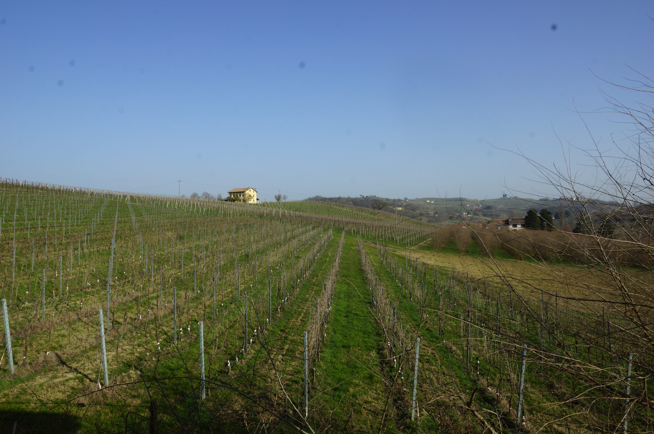 Casa dipendente Casa dipendente