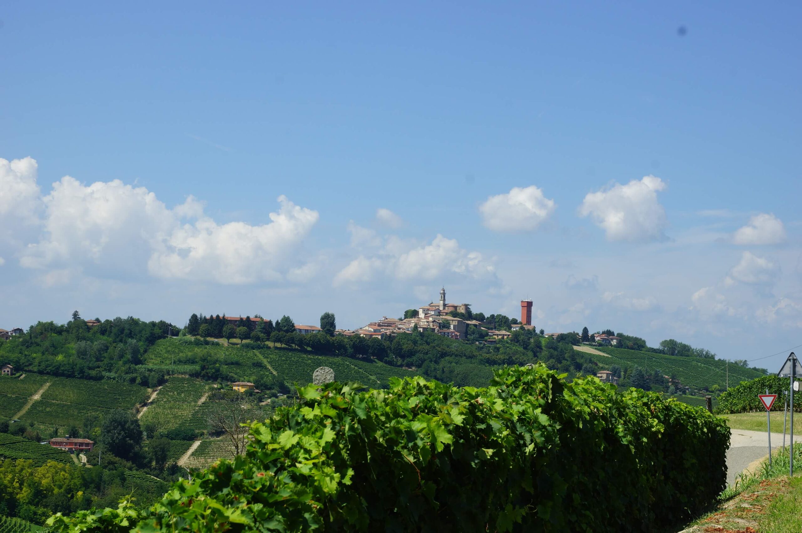 Sogno fra le Colline Sogno fra le Colline