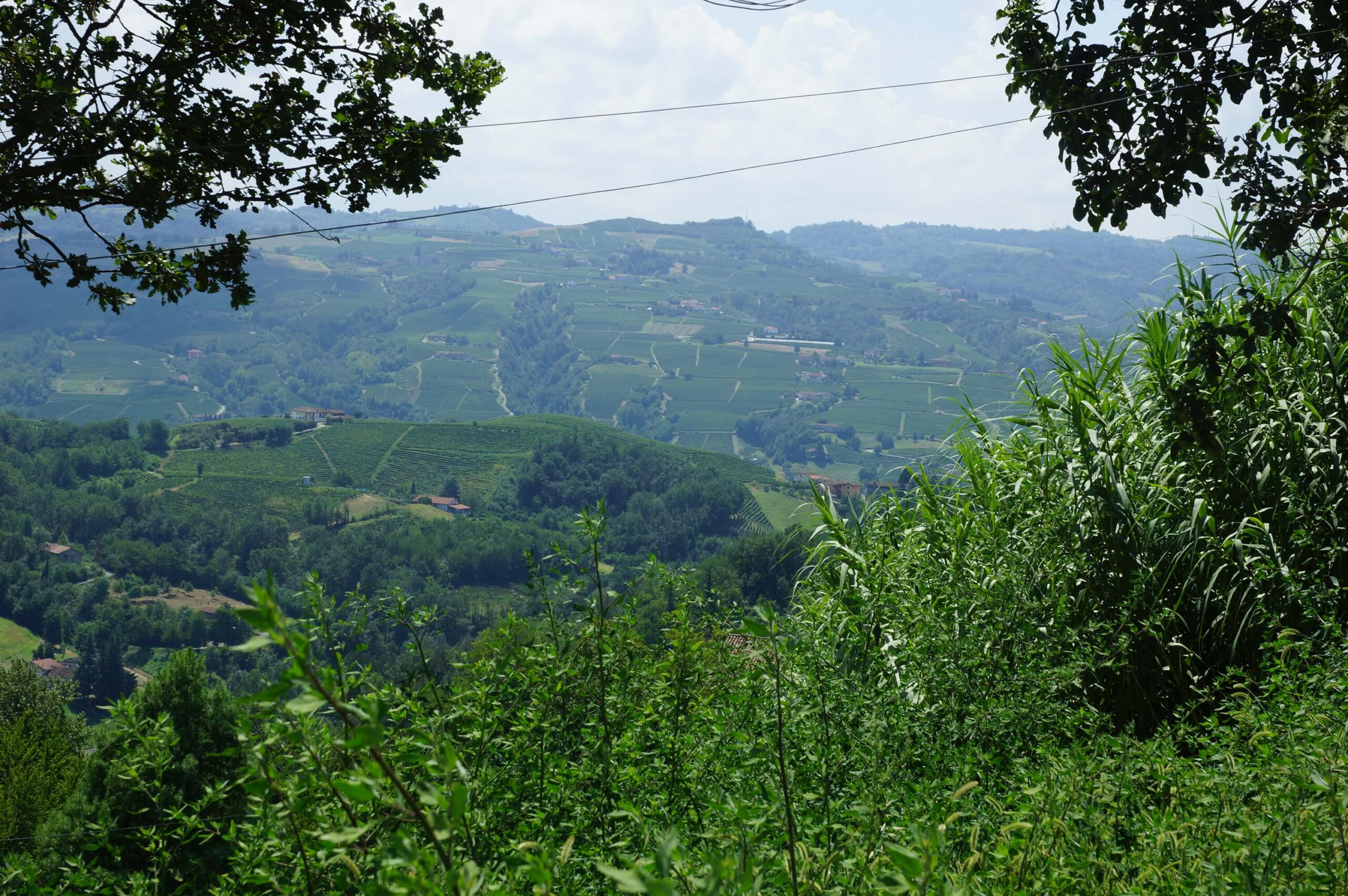 Sogno fra le Colline Sogno fra le Colline