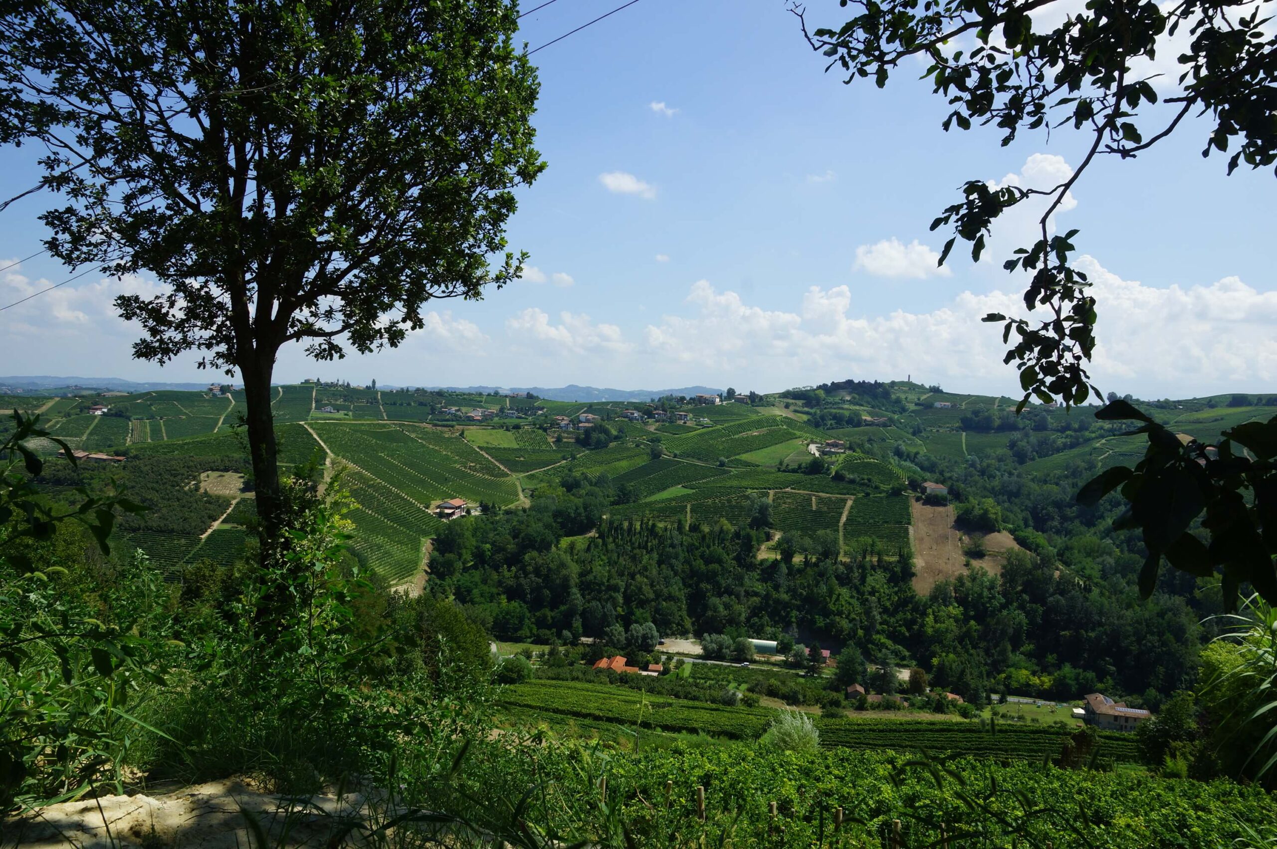 Sogno fra le Colline Sogno fra le Colline