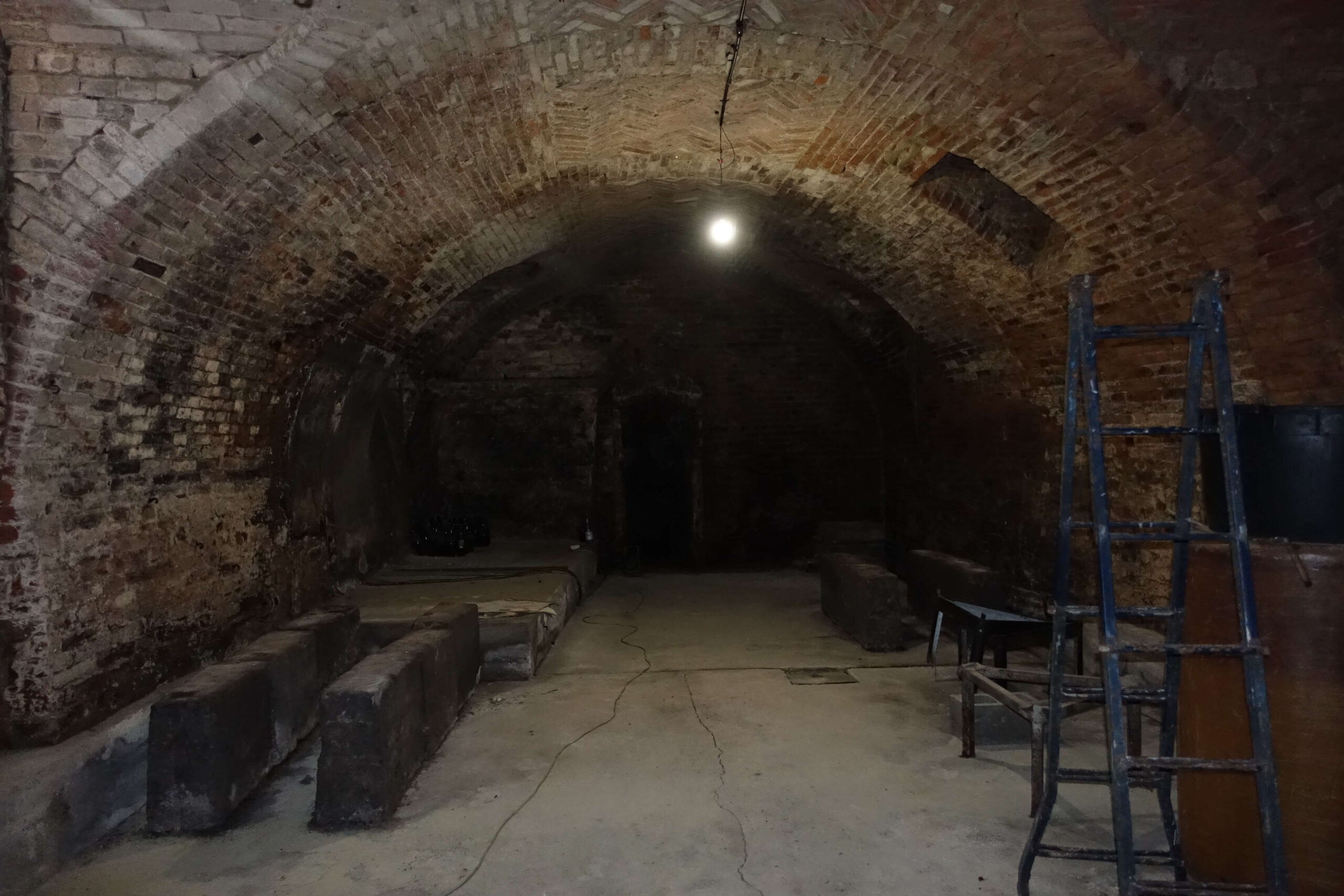 Panorama con vigneti. Panorama con vigneti.