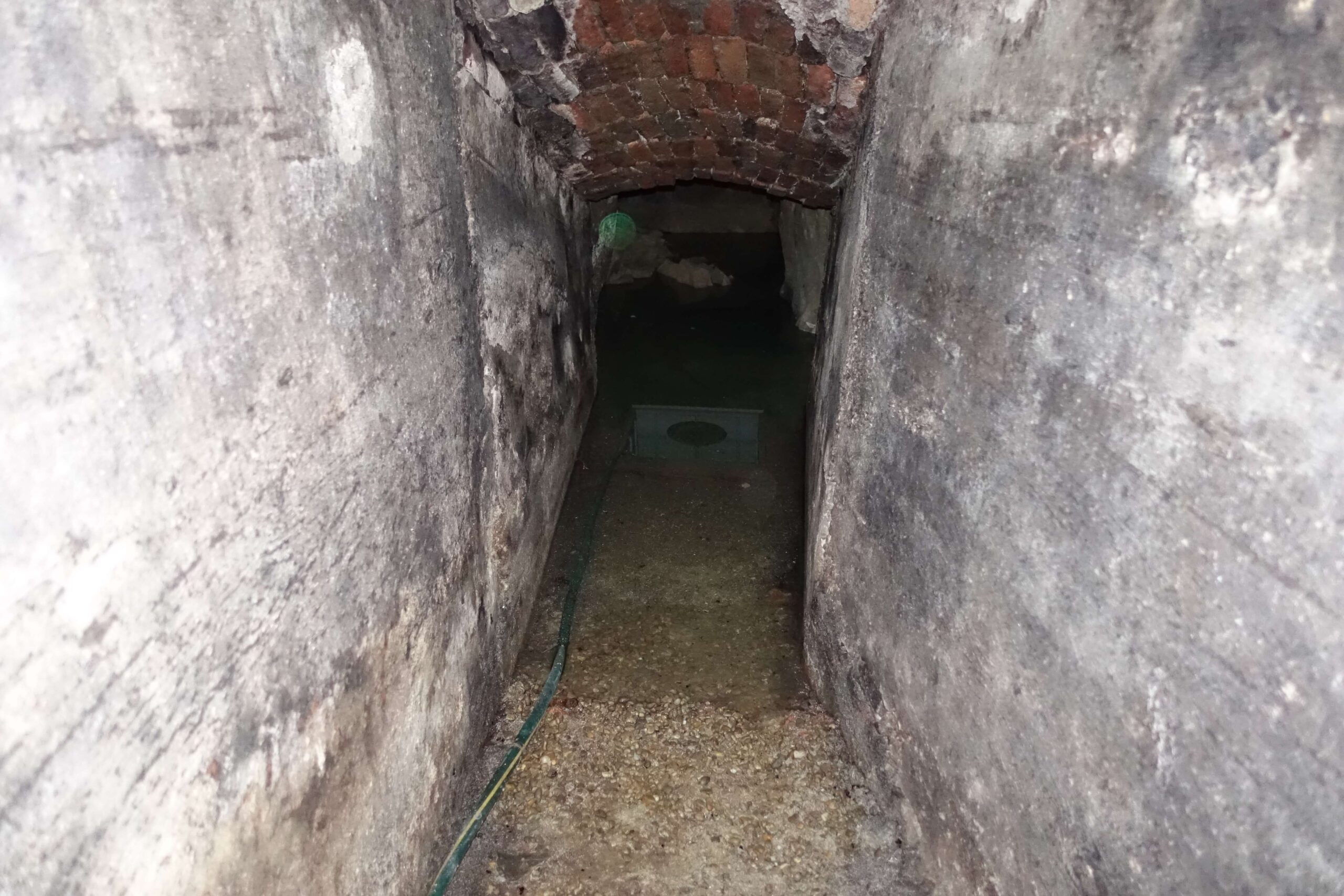 Panorama con vigneti. Panorama con vigneti.