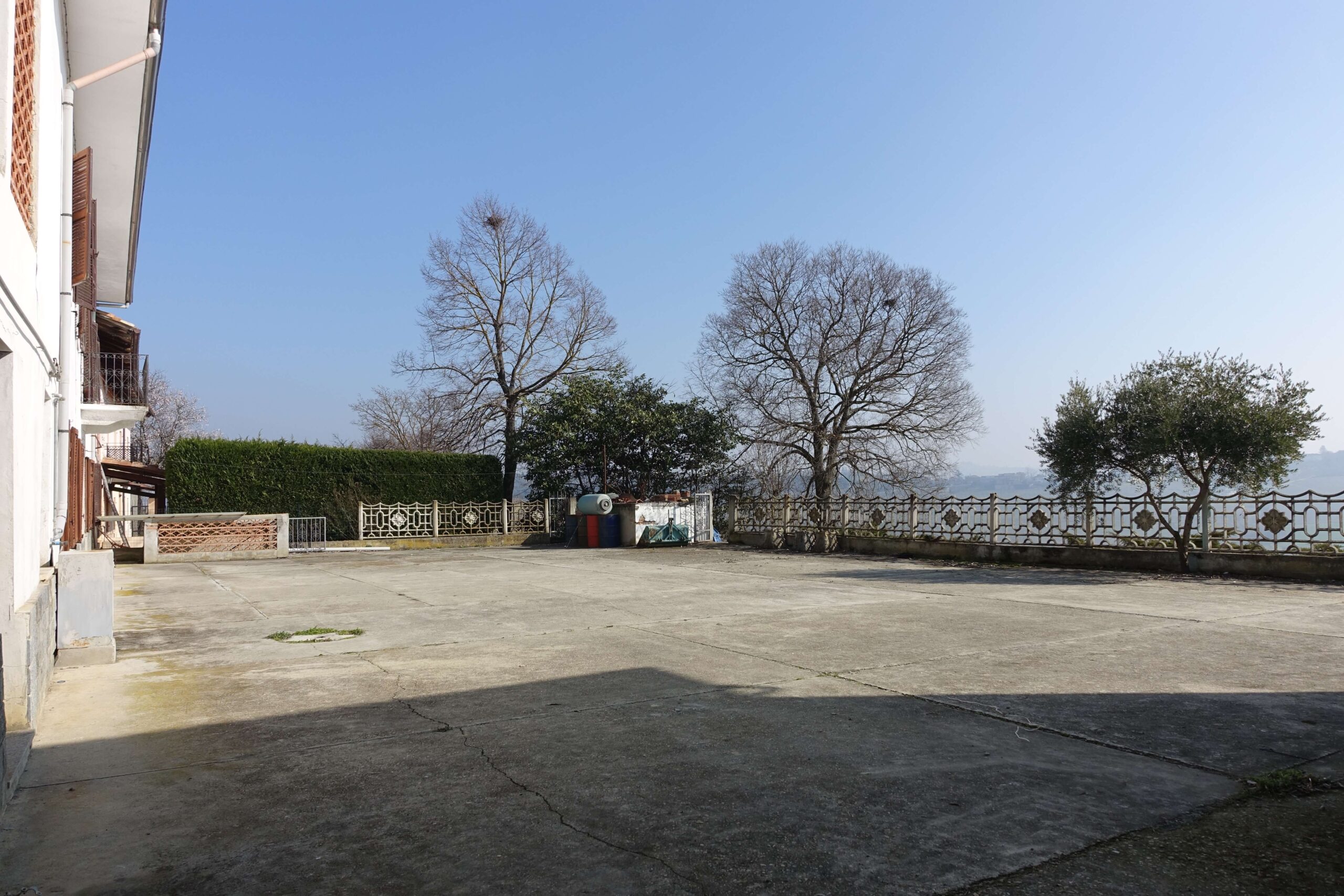 Panorama con vigneti. Panorama con vigneti.