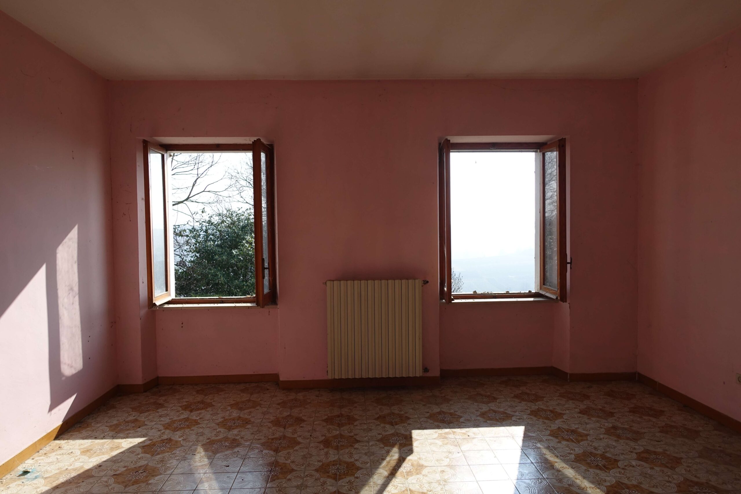 Panorama con vigneti. Panorama con vigneti.