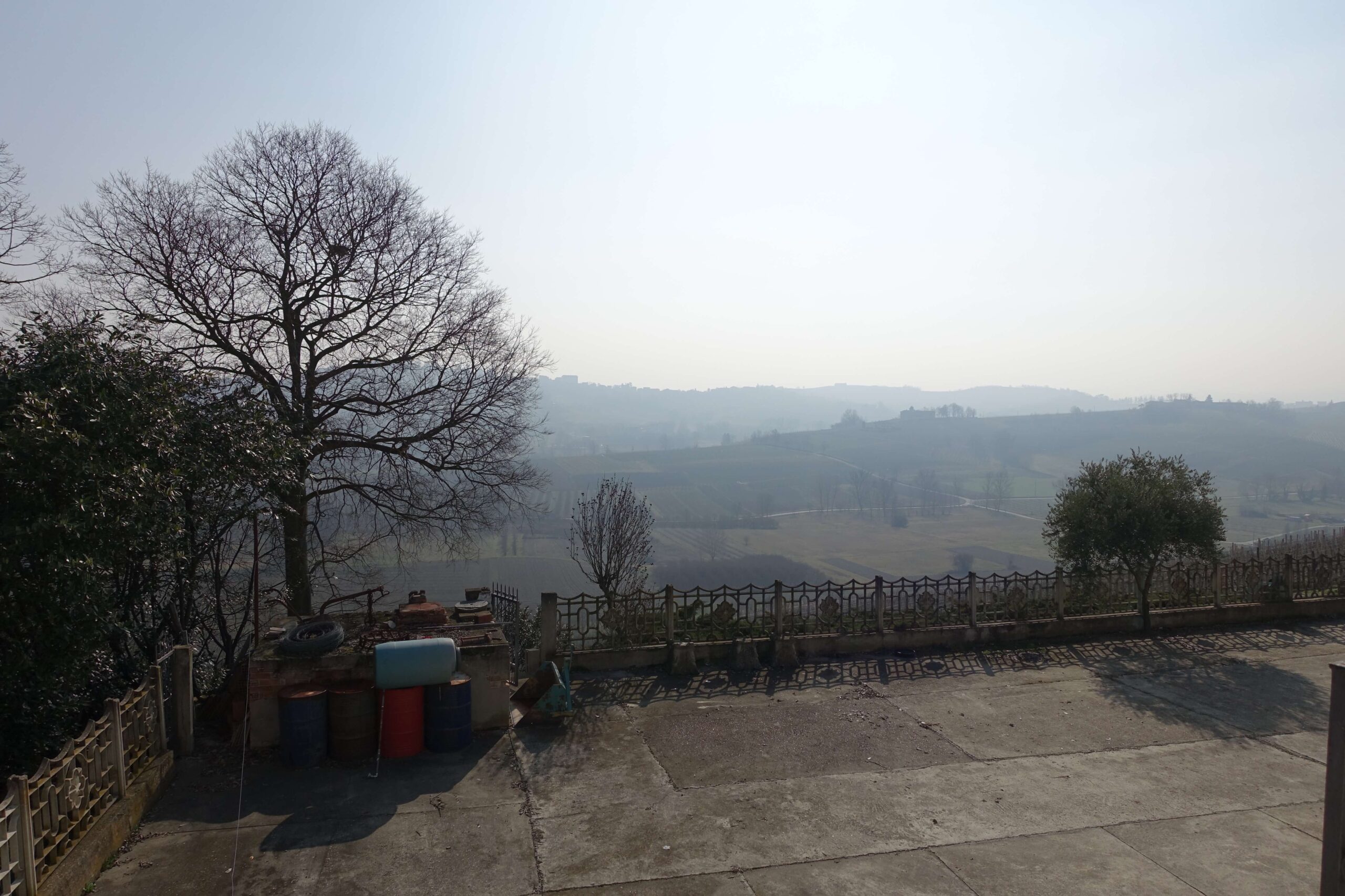 Panorama con vigneti. Panorama con vigneti.