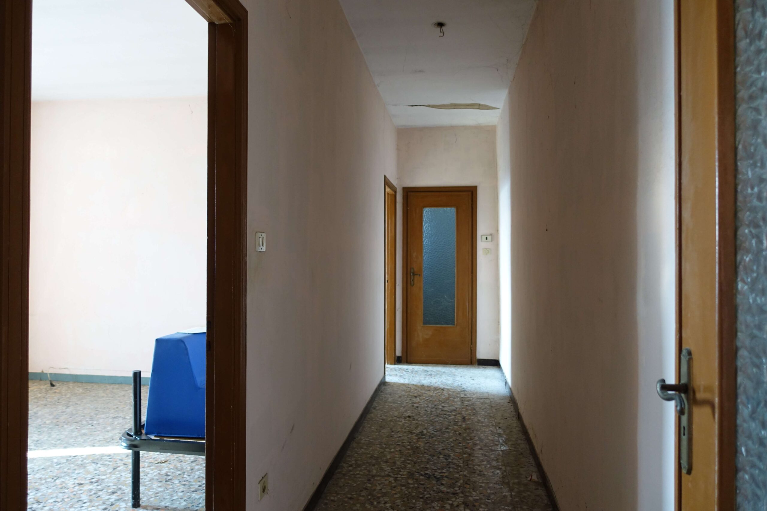 Panorama con vigneti. Panorama con vigneti.