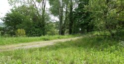 Nizza M.to: casa in mattoni Nizza M.to: casa in mattoni