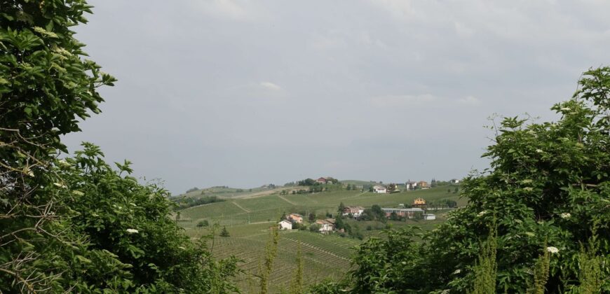 Nizza M.to: casa in mattoni Nizza M.to: casa in mattoni