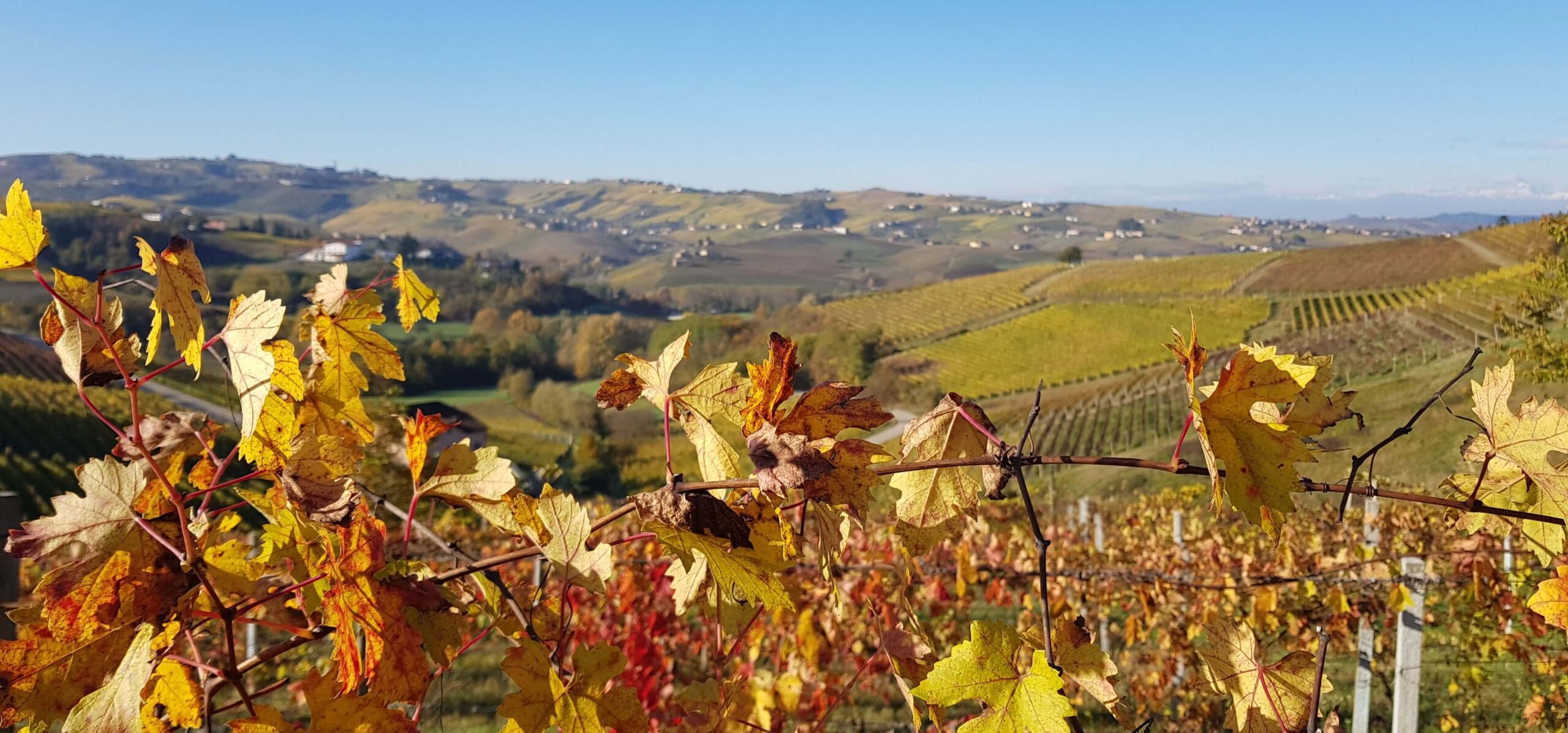 Lussuoso Casale Lussuoso Casale