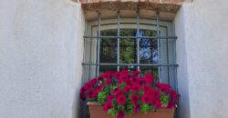 Langhe: Spettacolare Proprietà Langhe: Spettacolare Proprietà