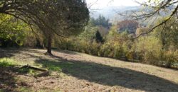 Affascinante Cascina con Fienile