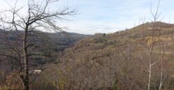 Cascina con charme