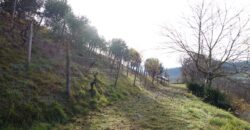 Cascina con charme