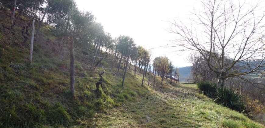 Cascina con charme
