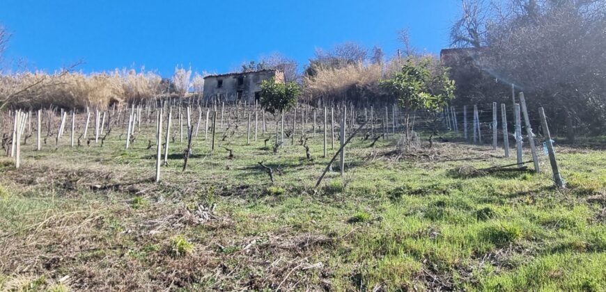 Cascina con charme