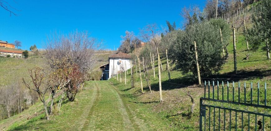 Cascina con charme