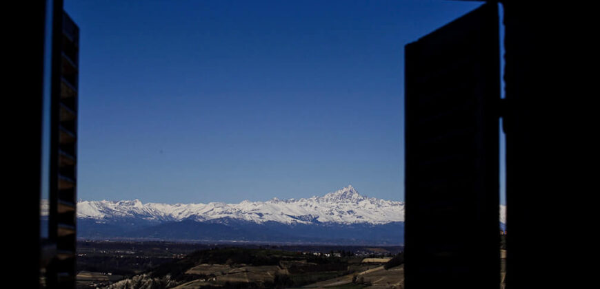 Tra i vigneti di Monforte d’Alba