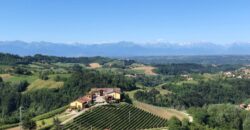 Tra i vigneti di Monforte d’Alba