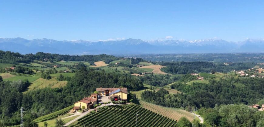 Tra i vigneti di Monforte d’Alba