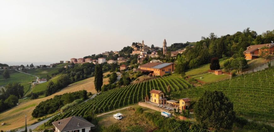 Tra i vigneti di Monforte d’Alba