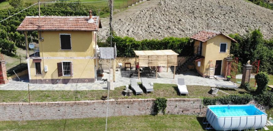 Tra i vigneti di Monforte d’Alba