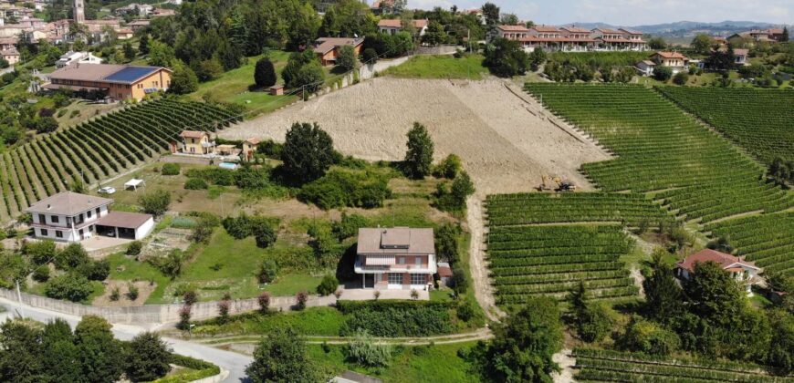 Tra i vigneti di Monforte d’Alba
