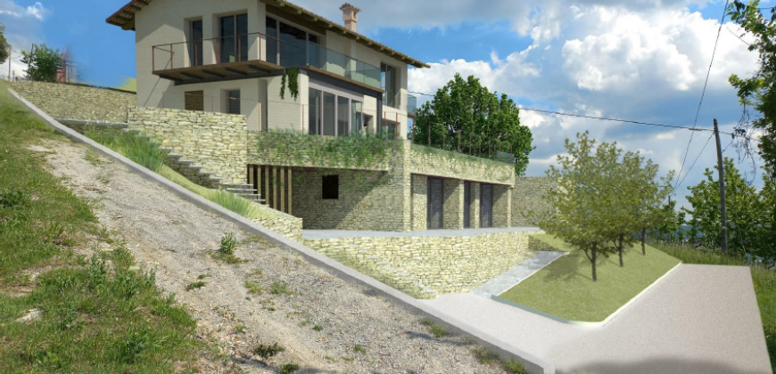 Tra i vigneti di Monforte d’Alba