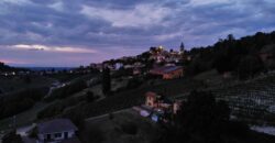 Tra i vigneti di Monforte d’Alba