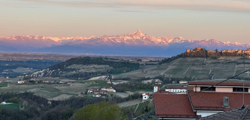 Tra i vigneti di Monforte d’Alba