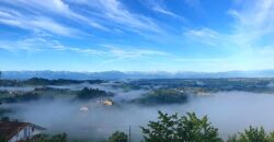 Tra i vigneti di Monforte d’Alba