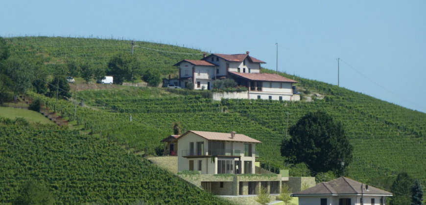 Tra i vigneti di Monforte d’Alba