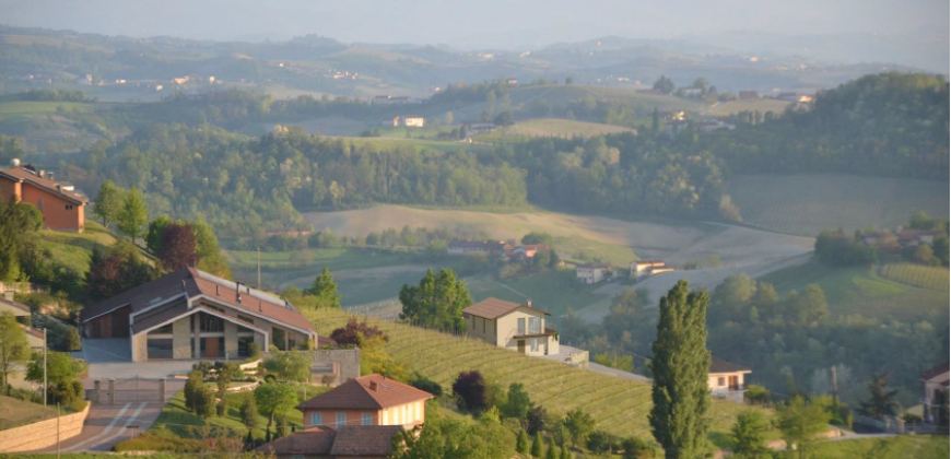 Tra i vigneti di Monforte d’Alba