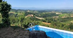 Tra i vigneti di Monforte d’Alba