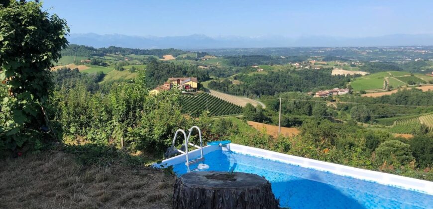 Tra i vigneti di Monforte d’Alba