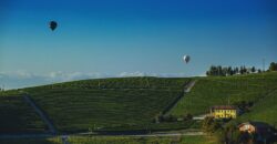 Tra i vigneti di Monforte d’Alba