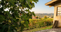 Casa nel Borgo Medievale