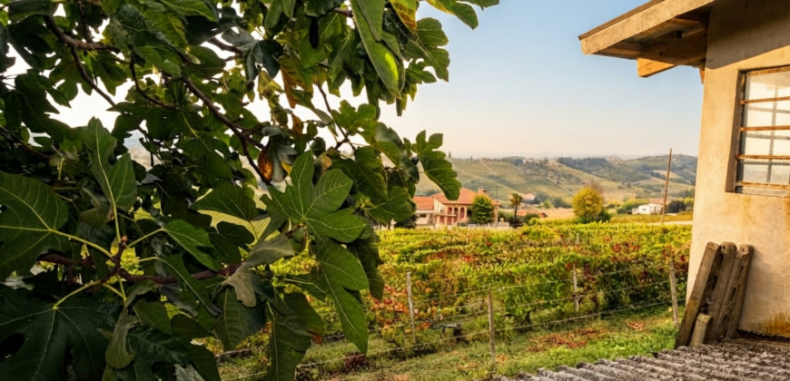 Casa nel Borgo Medievale